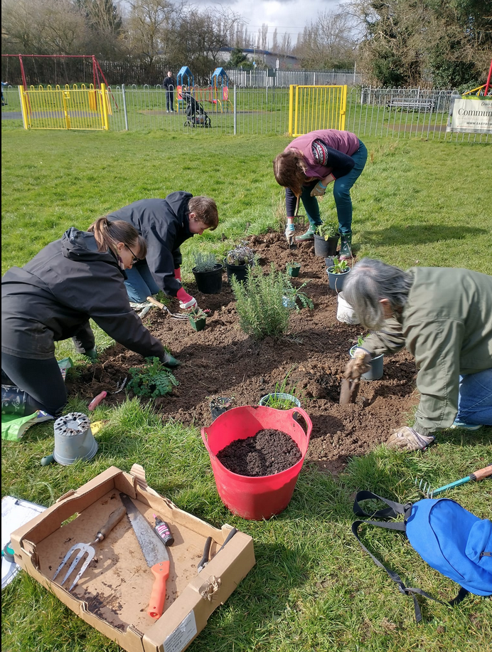 Volunteers planting
