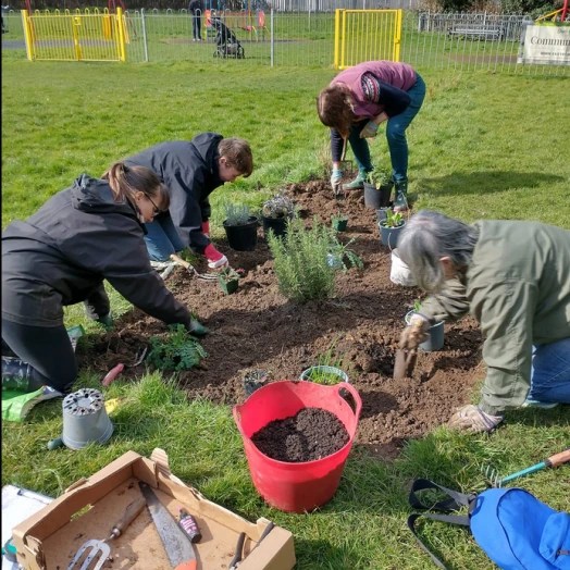Volunteers gardening