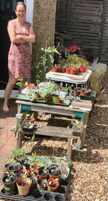 Kate by her seed stall