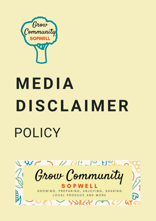 Media Disclaimer Policy