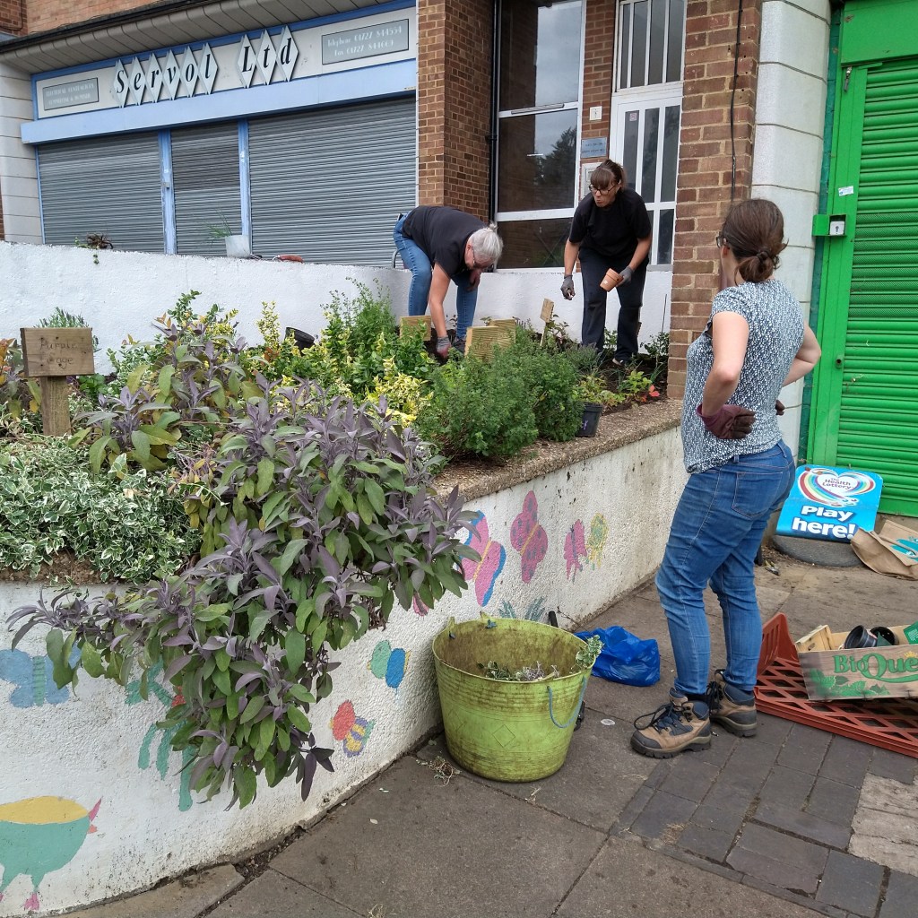 People gardening in planter
