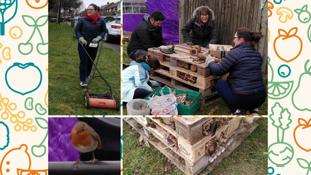 Collage of images of person using a hand mower, building a bug hotel from pallets, and a robin