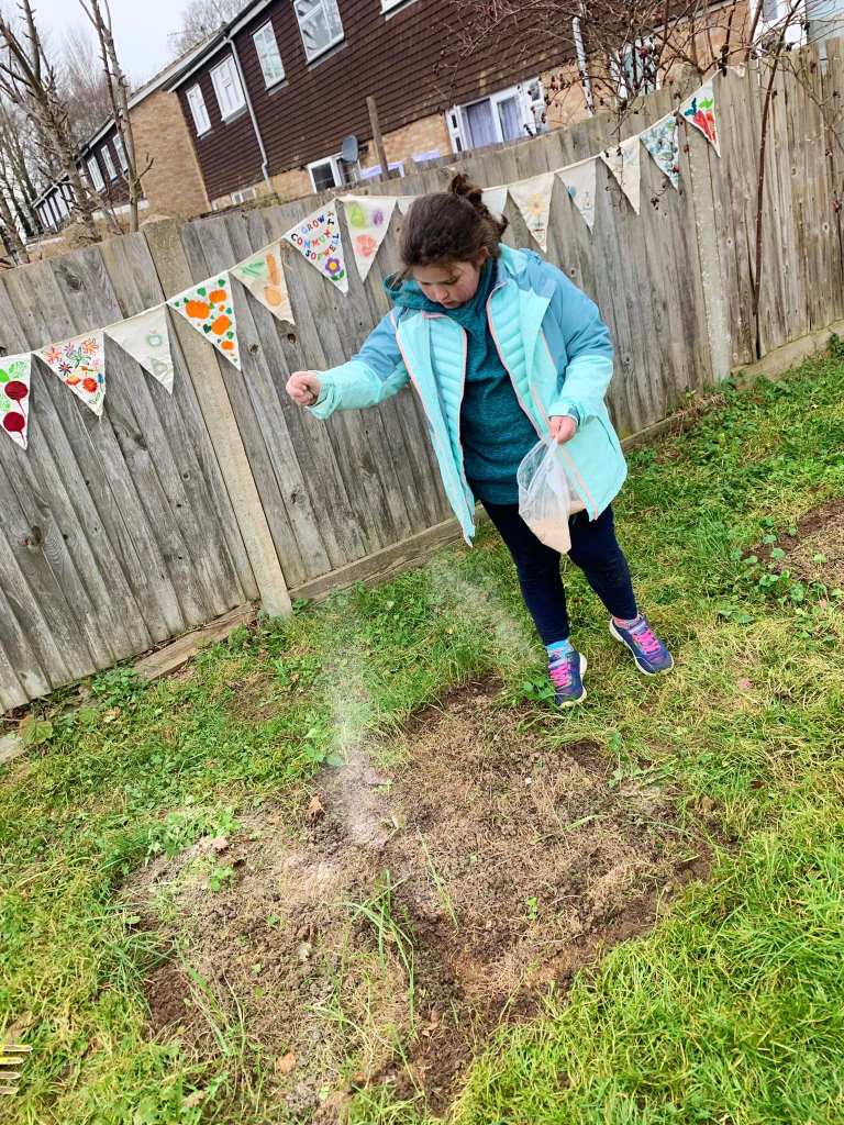 Girl sowing wildflower seeds